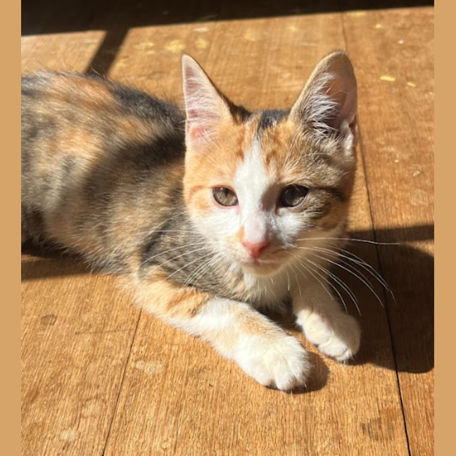 Photo of Lottie & Cindy 🌺🌺