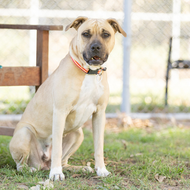 Photo of Lacey