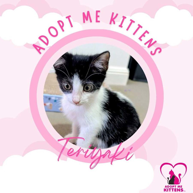 Photo of Teriyaki