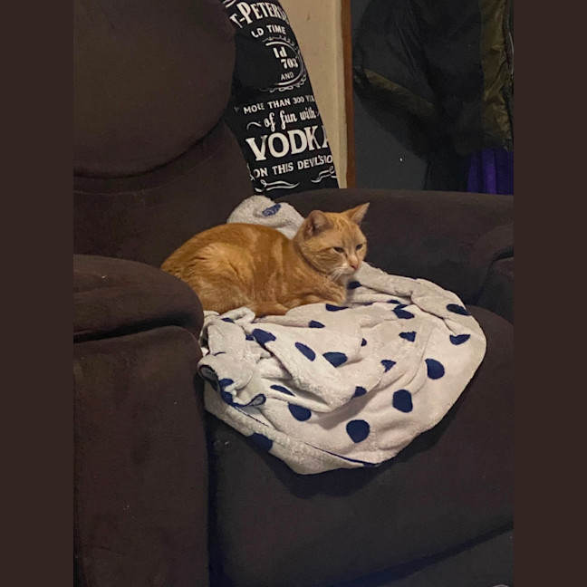 Photo of Poppet