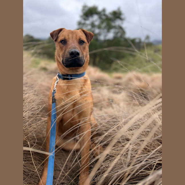 Photo of Axel