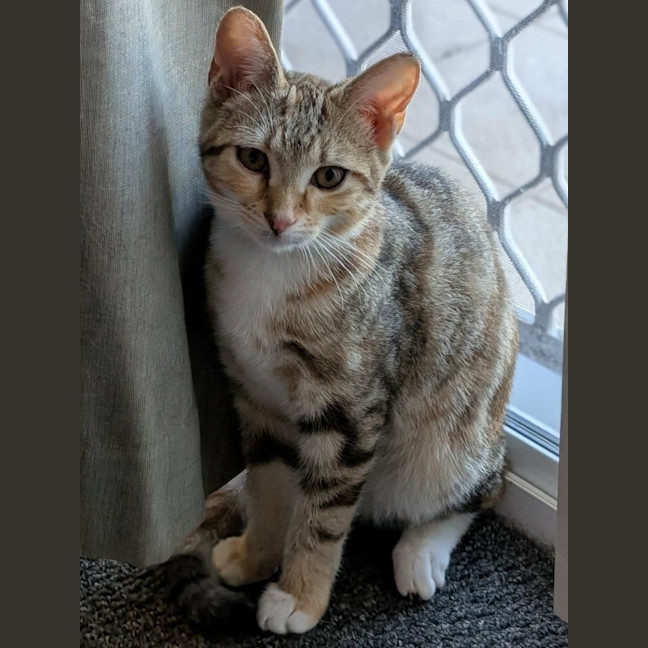Photo of Frances