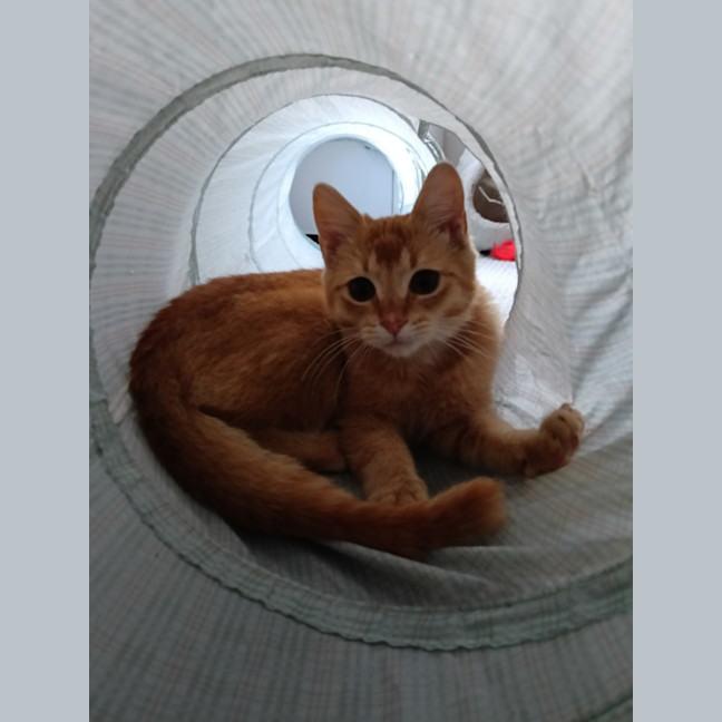 Photo of Alpine