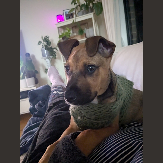 Photo of Matilda