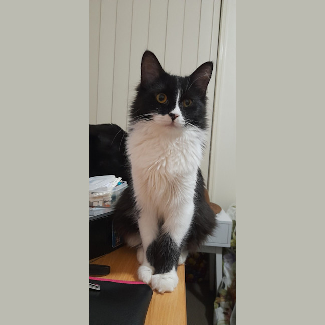 Photo of Winnie 