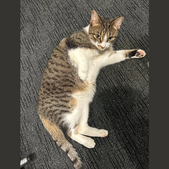 Photo of Mimi