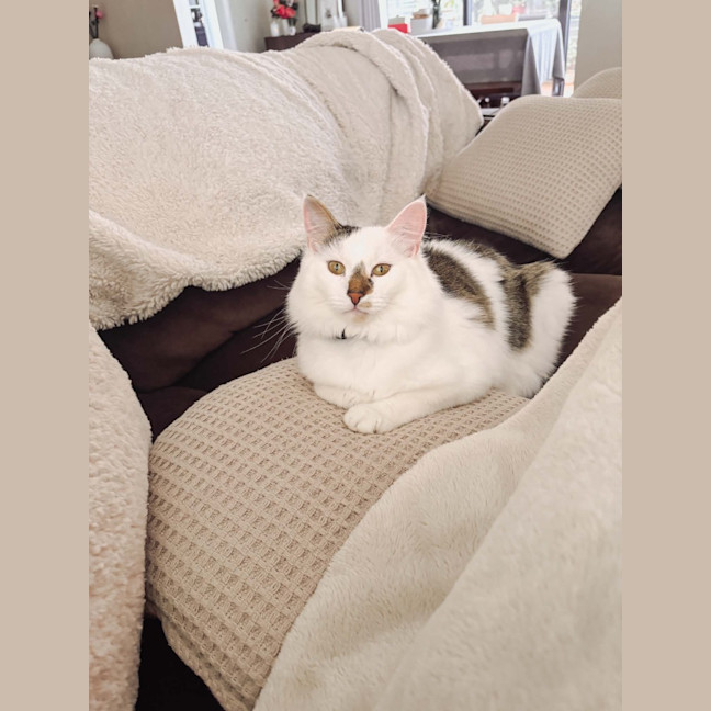 Photo of Julian