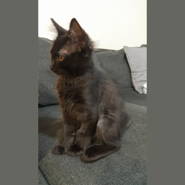 Photo of Penny (Wise)