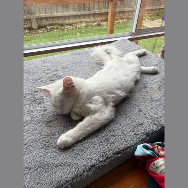Photo of Yuki