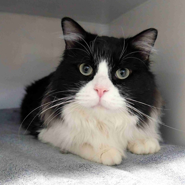 Photo of Harvey Sta014049