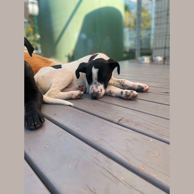 Photo of Snugglepot