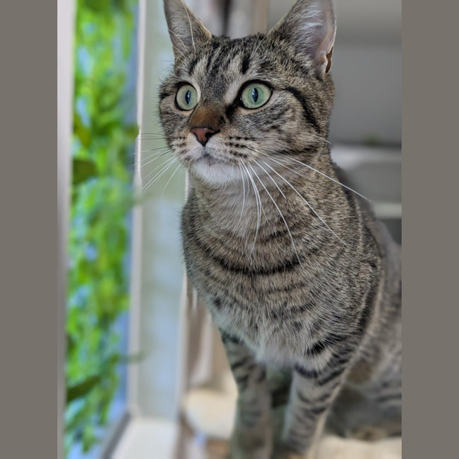 Photo of 🍇 Luna 5421 🍇