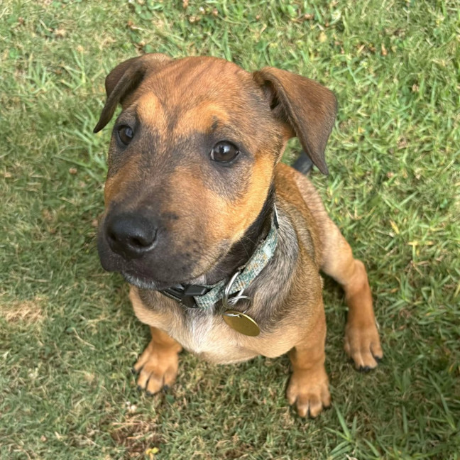 Photo of Pentonville