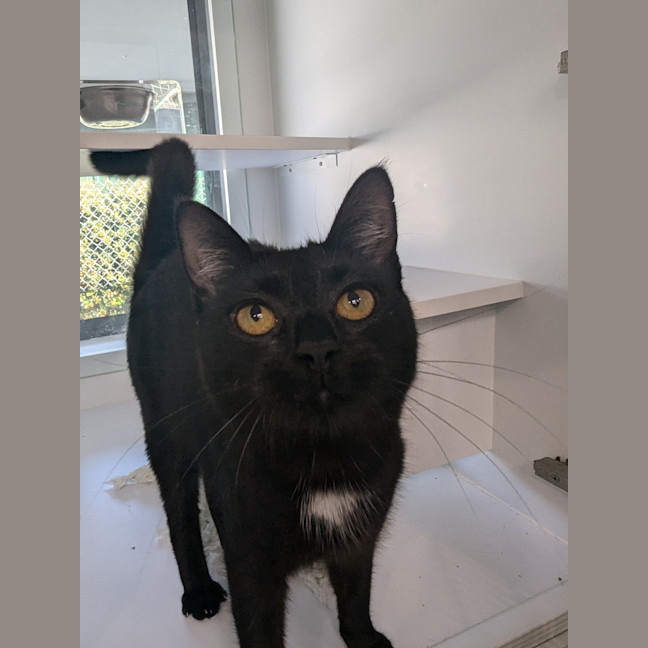 Photo of Winnie