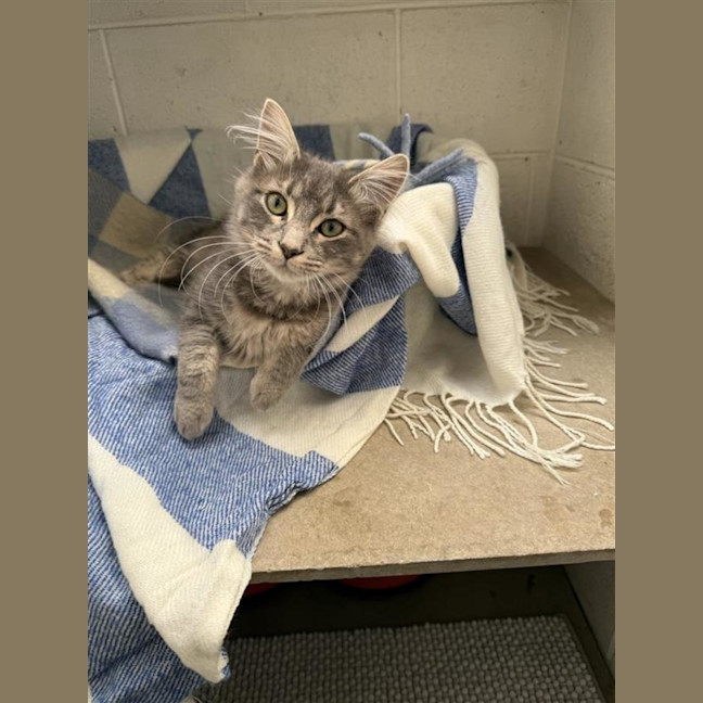 Photo of Sailor