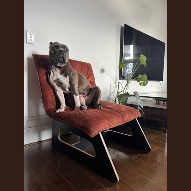 Photo of Gambit