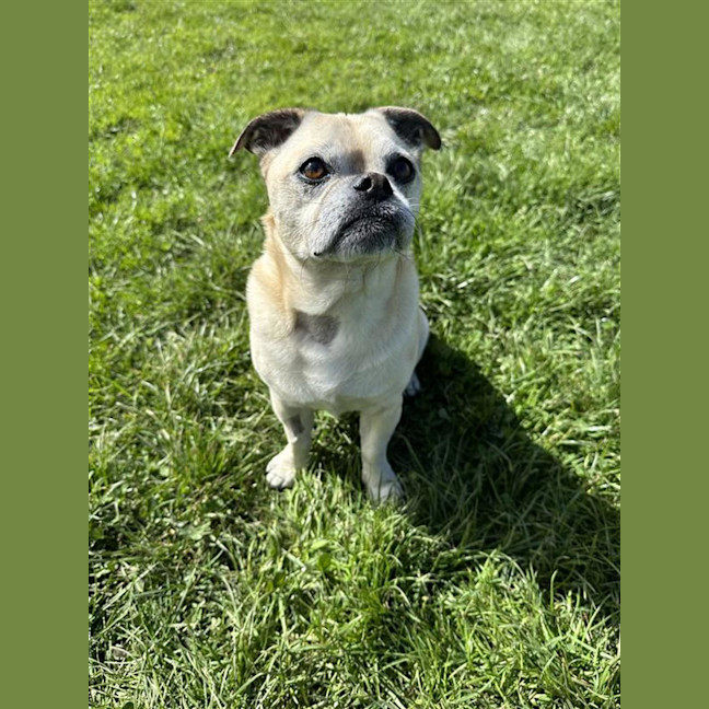 Photo of Herbie
