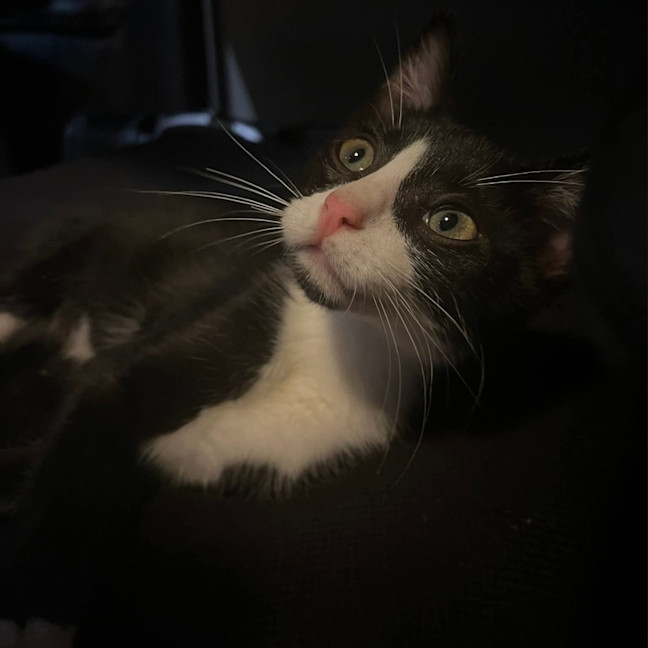 Photo of Conrad