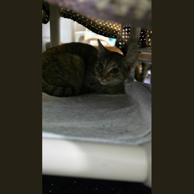 Photo of Emma