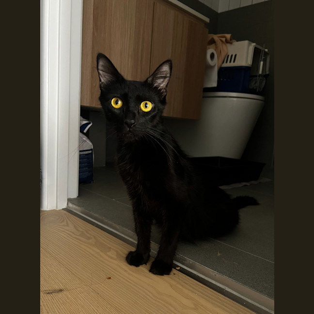 Photo of Darla