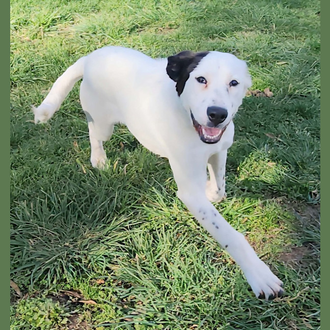 Photo of Dora