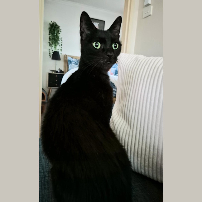 Photo of Miles