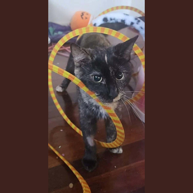 Photo of Penelope