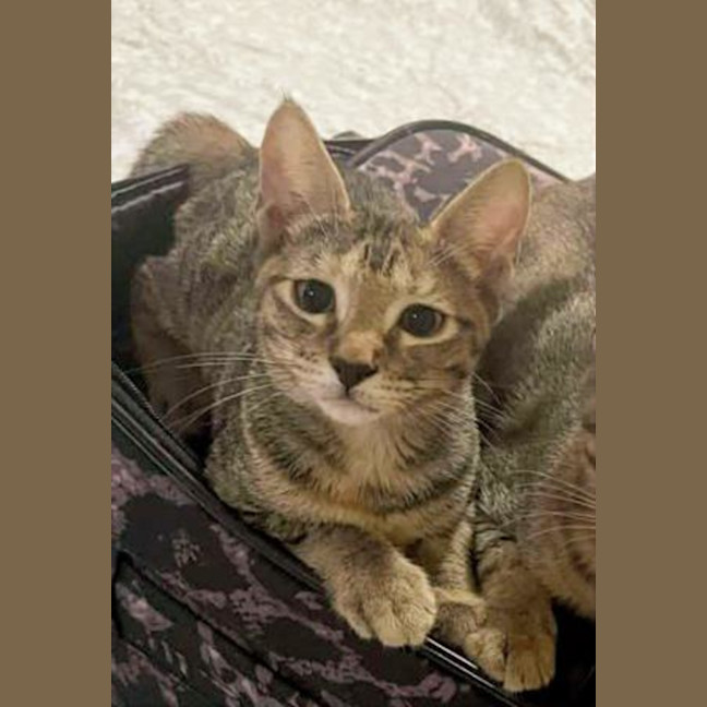 Photo of Elsa