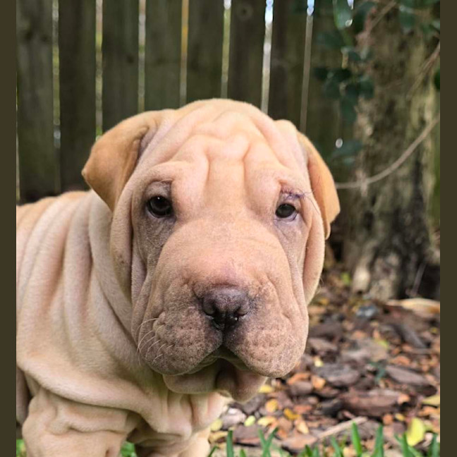 Photo of Bob