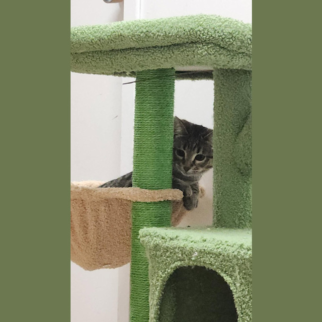 Photo of Princess