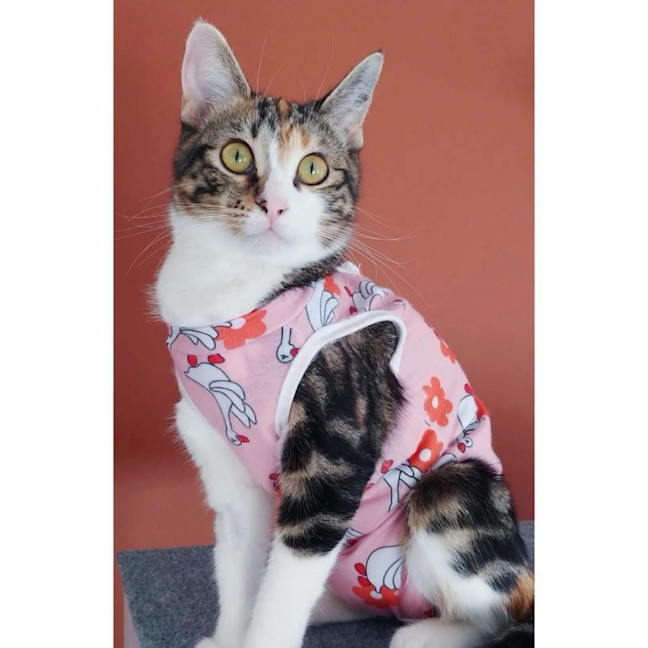 Photo of 12408   Patsy