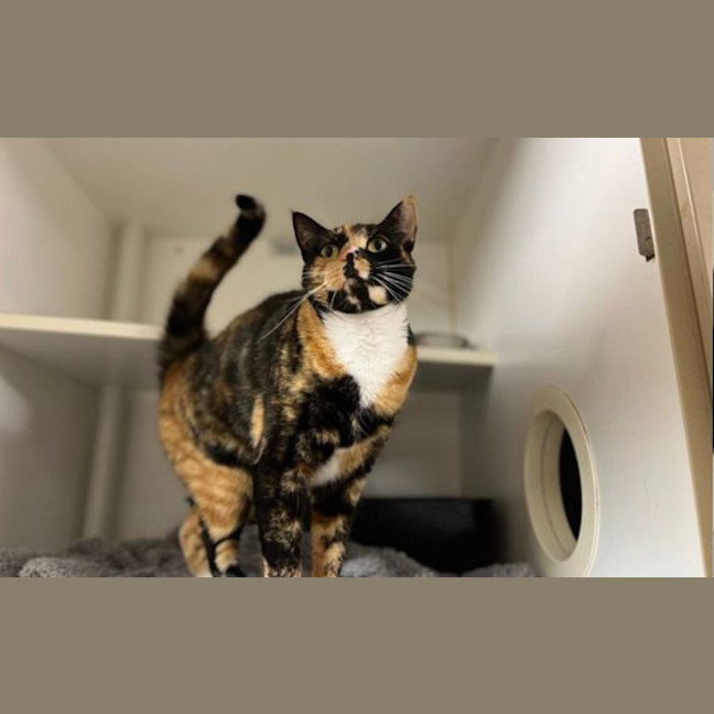 Photo of Enid