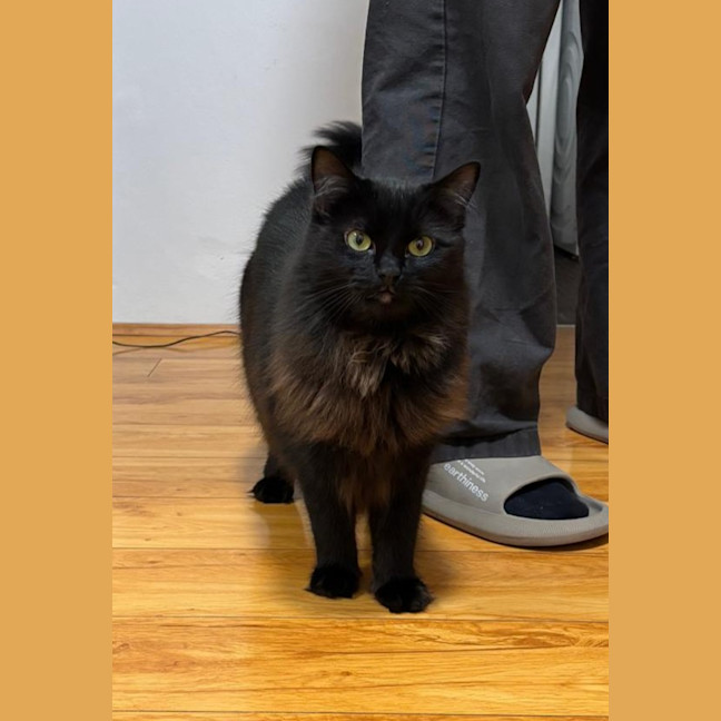 Photo of Sabrina