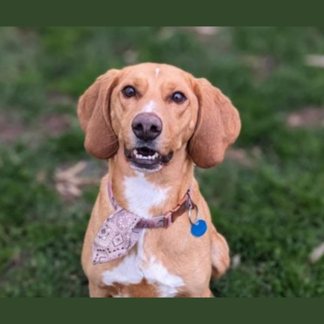 Photo of Luna