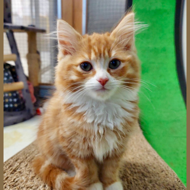 Photo of Haru