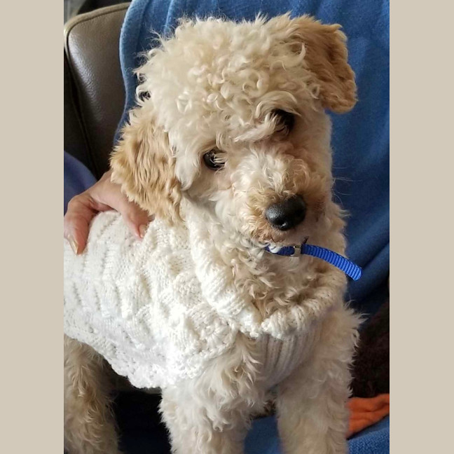 Photo of Reggie