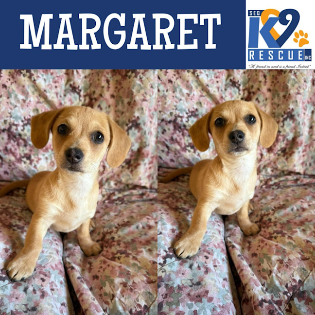 Photo of Margaret
