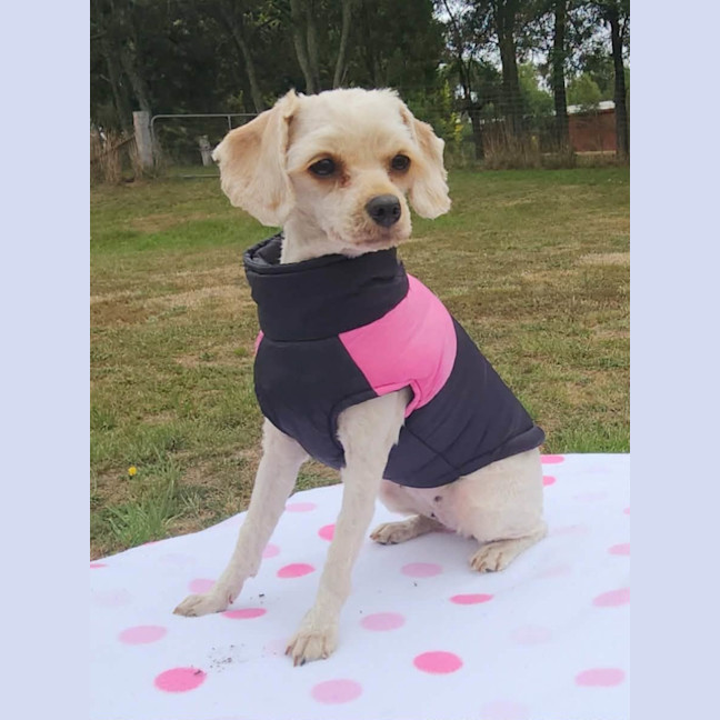 Photo of Hazel
