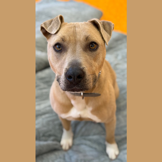 Photo of Princess