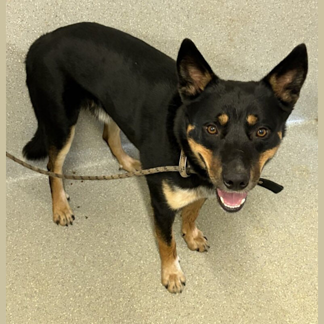 Photo of Cash