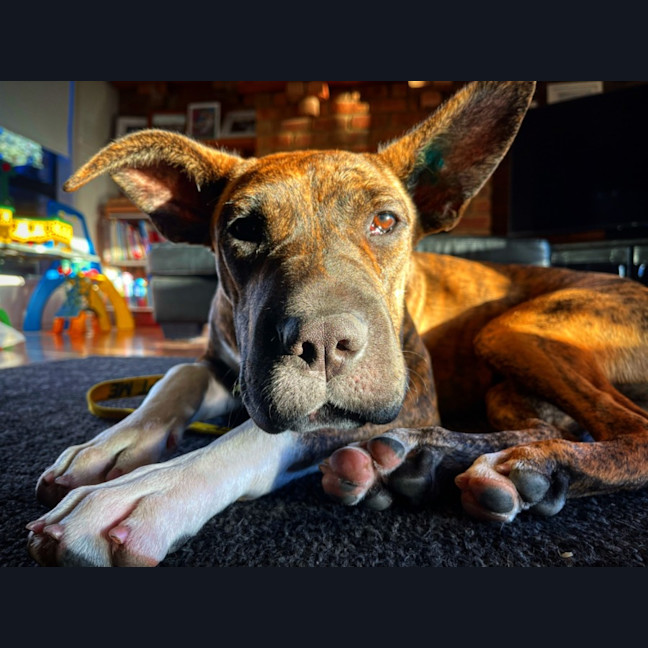 Photo of Mimi