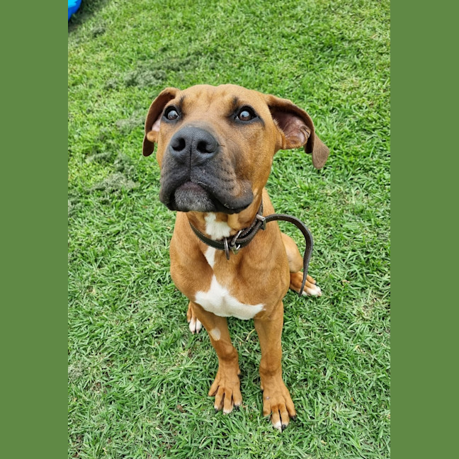 Photo of Ralphy