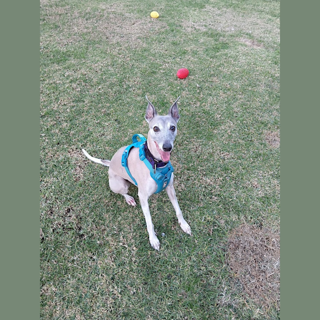 Photo of Gus