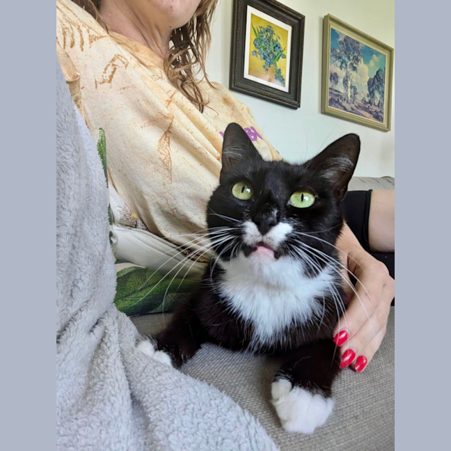 Photo of Stevie Mitts