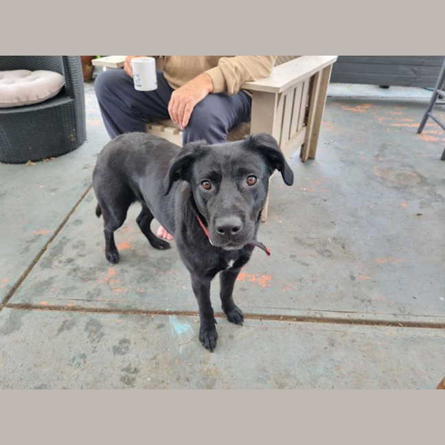 Photo of Rosie Lozano