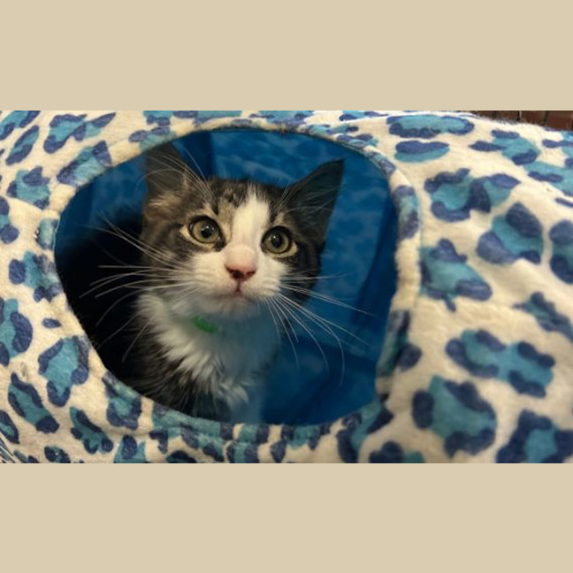 Photo of Annie