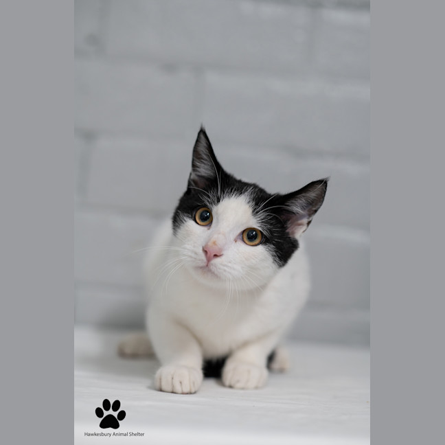 Photo of Max