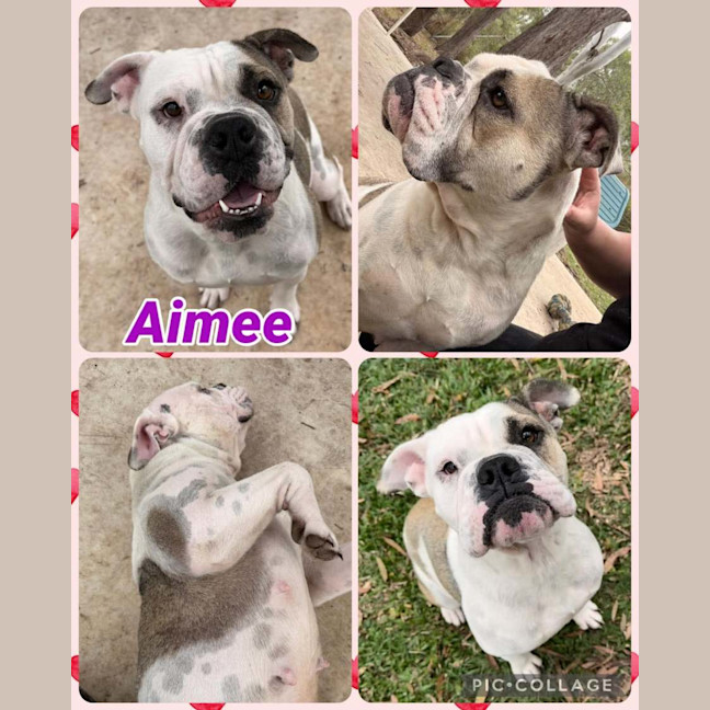 Photo of Aimee