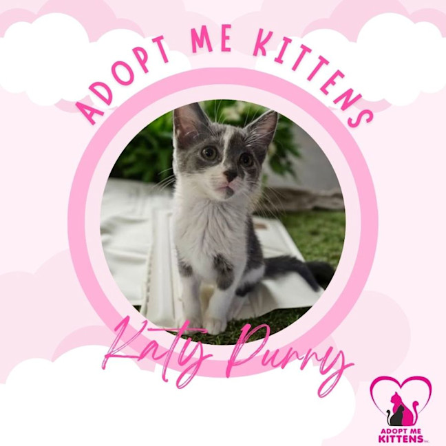 Photo of Katy Purry