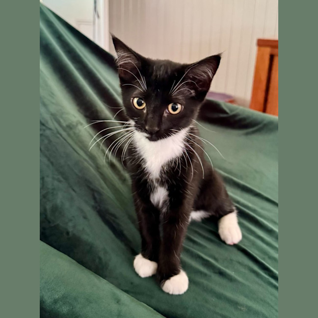 Photo of Baby & Belle